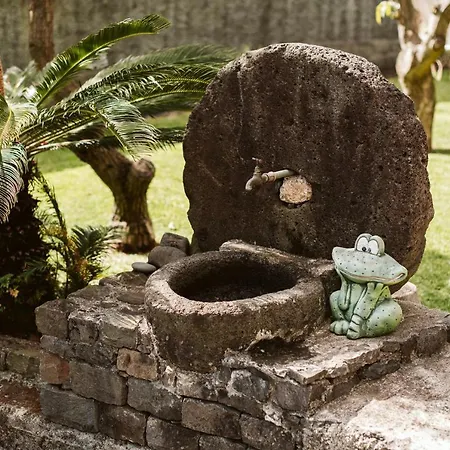 Casa Da Pedra By Amazing Madeira Hébergement de vacances