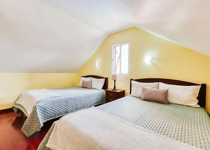 Casa Da Pedra By Amazing Madeira Santana (Madeira)